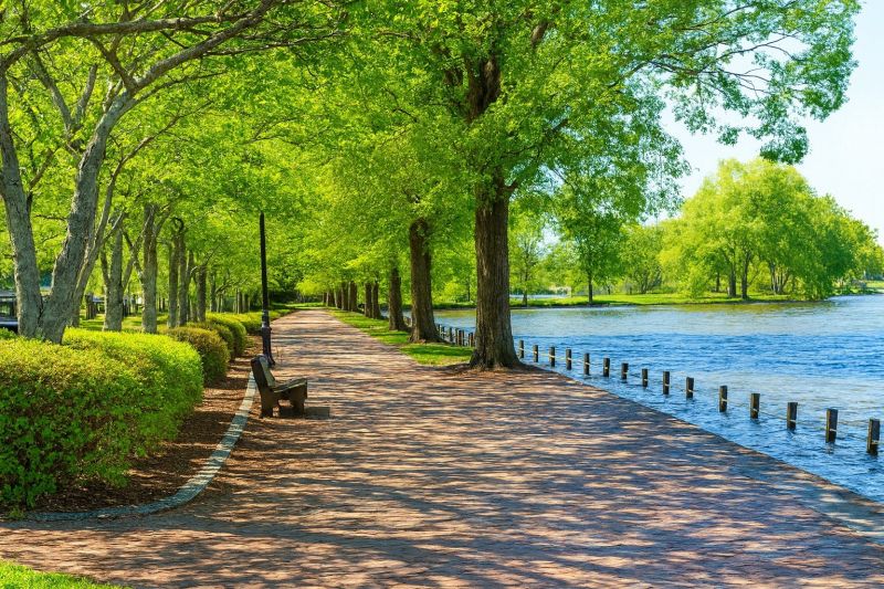 Locust Grove, VA