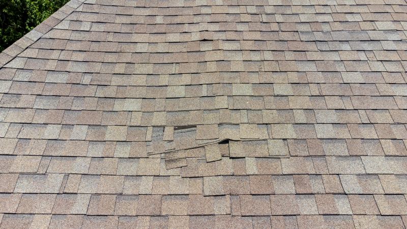 Asphalt Roof Inspection in Prince William County, VA
