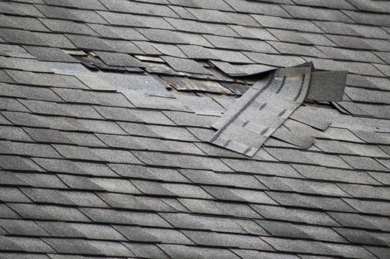 Asphalt Roof Leak Repair in Burke, VA