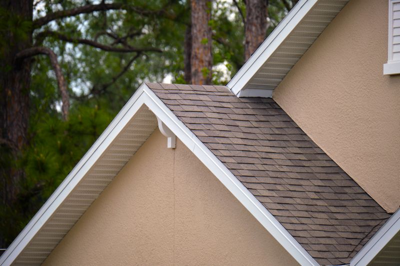 Damaged Roof Repair in Lorton, VA