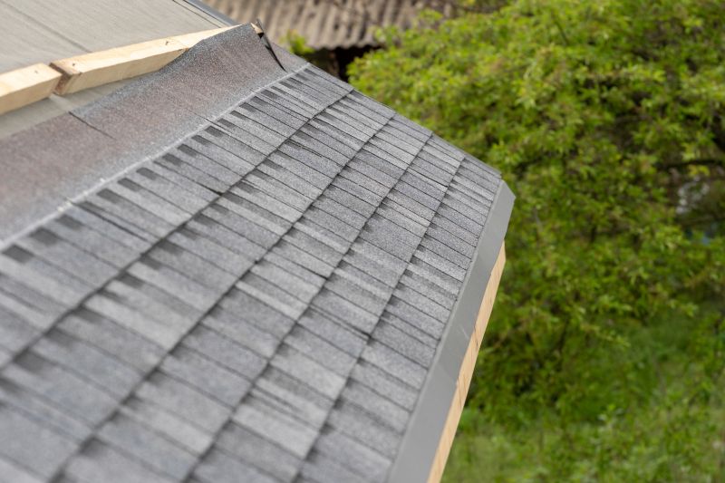 Damaged Roof Repair in Prince William County, VA