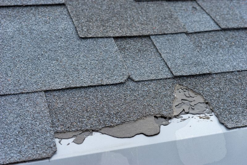 Damaged Roof Repair in Woodbridge, VA