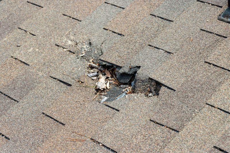 Damaged Roof Replacement in King George County, VA
