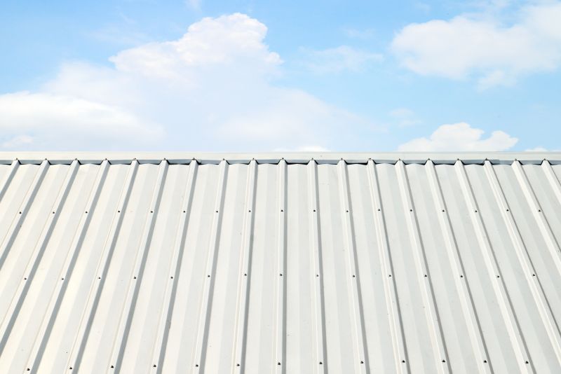 Metal Roof Coating Service in Stafford County, VA