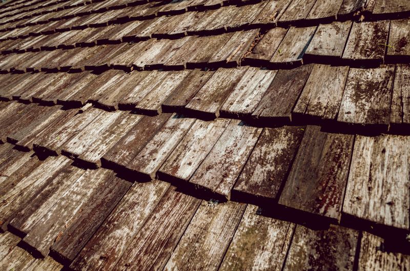Shake Roof Replacement in Prince William County, VA