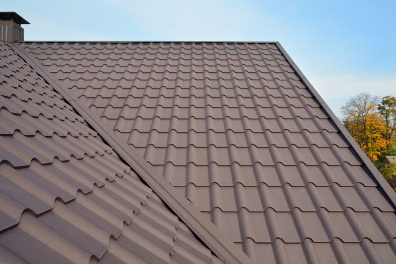 Tin Roof Installation in King George County, VA